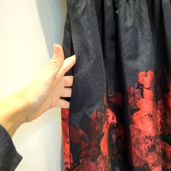 Cynthia Steffe Black and Red  Dress - Picture 10 of 11